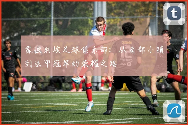 蒙彼利埃足球俱乐部：从南部小镇到法甲冠军的荣耀之路