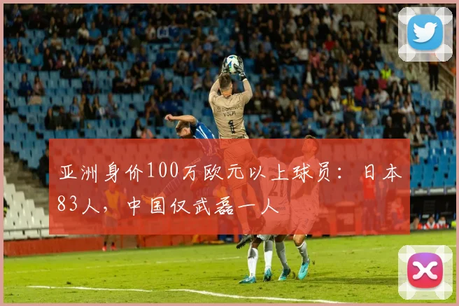 亚洲身价100万欧元以上球员：日本83人，中国仅武磊一人